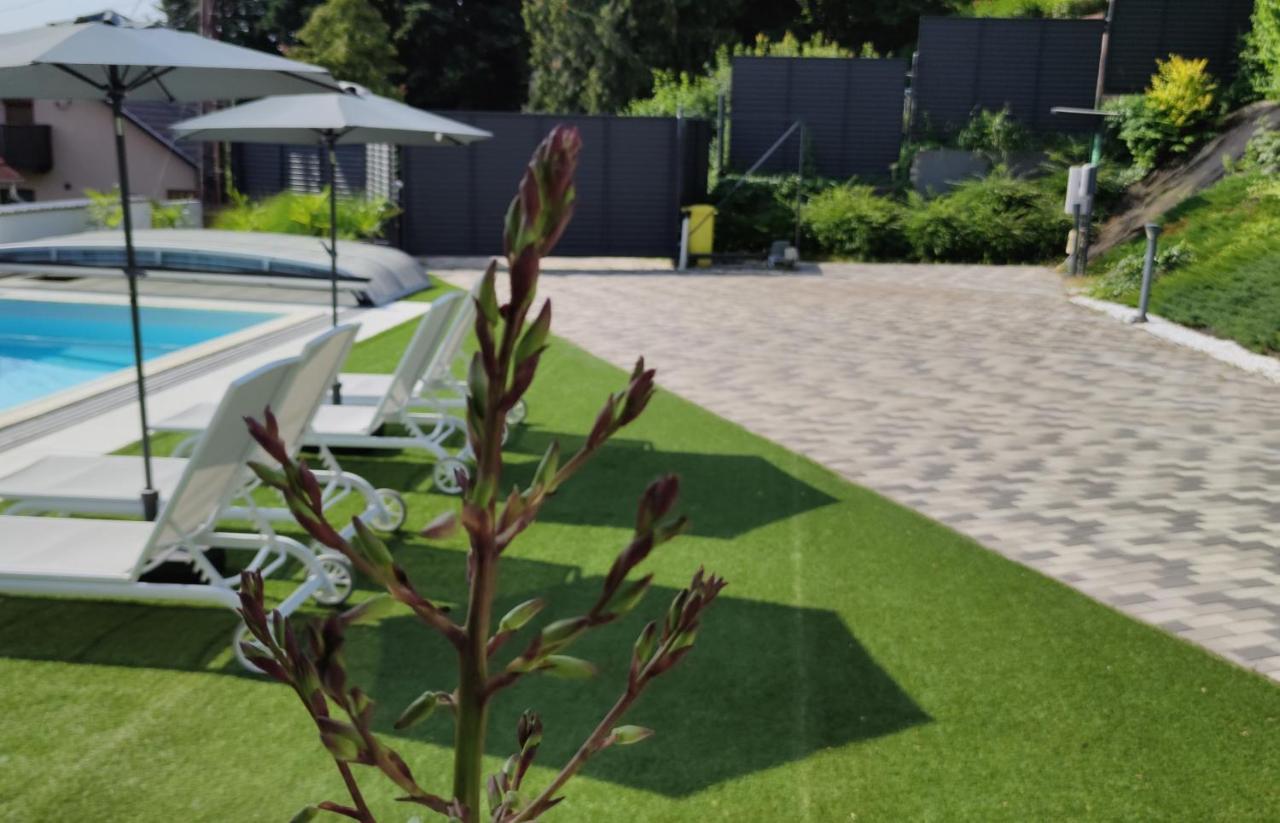 מישקולץ Aqua Solar Apartmanhaz מראה חיצוני תמונה